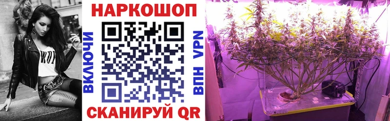 Где можно купить наркотики Верхотурье Cocaine  Псилоцибиновые грибы  Меф мяу мяу  Alpha-PVP 